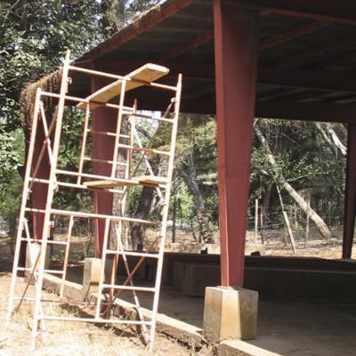 Foto 0002 3